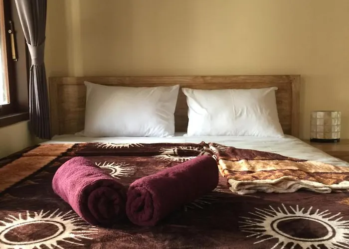 Ariasa House Guest house 3*