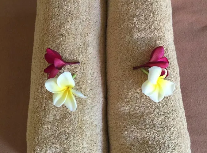 Guest house Ariasa House Legian (Bali)