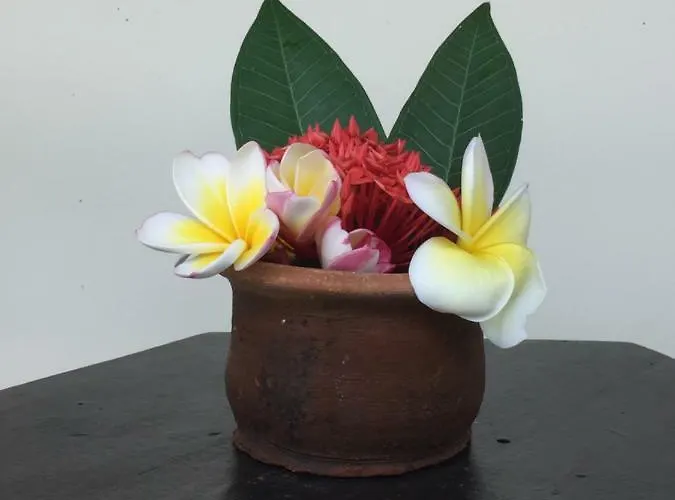 Ariasa House 3* Legian (Bali)